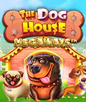 Dog House slotlari